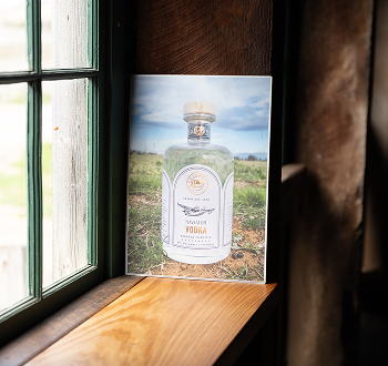 Behind the Barrel: Crafting Our Christmas Gin 2024
